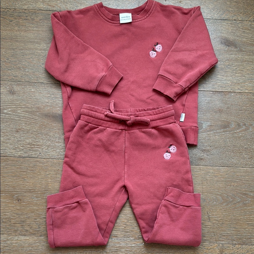 Red Sweatshirt and Joggers Set with cute tomato embroidered- size 3-4y